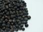 Preview: Wacholderbeeren ganz