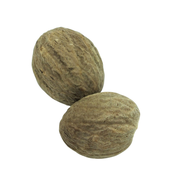 Muskatnuss