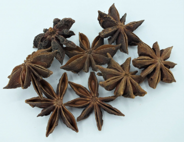 Sternanis ganz