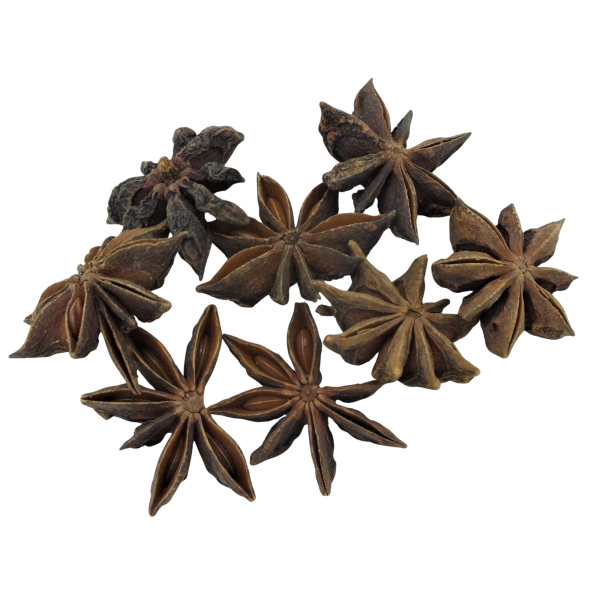 Sternanis
