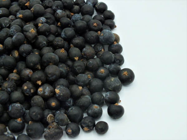 Wacholderbeeren ganz